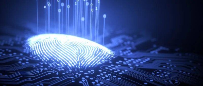 IC外汇播报 IC外汇消息:暴雪游戏宣布参展2025ChinaJoy:魔兽、炉石等四款经典IP登场